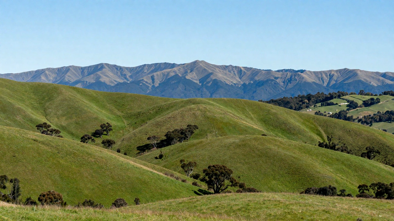 A calm and inviting New Zealand landscape featuring iconic natural scenery such as rolling green hills, distant mountains, and clear skies, evoking the sense of arrival and exploration.