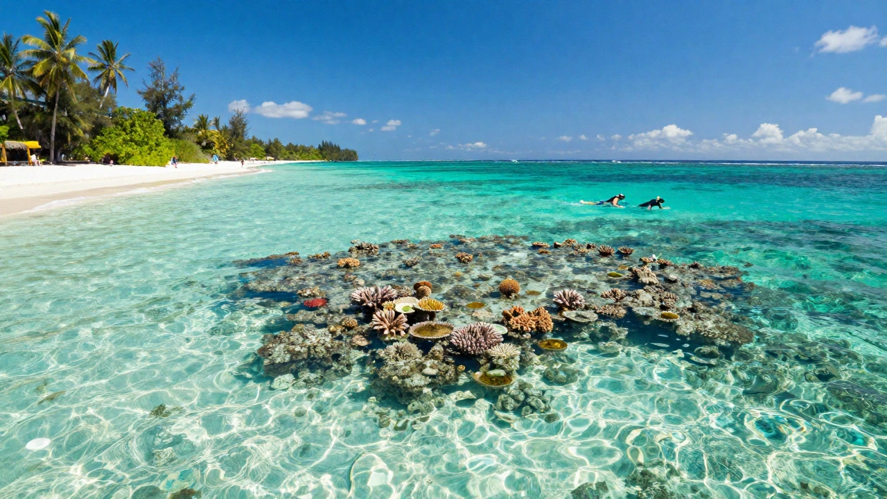 A serene tropical beach in Palau with crystal-clear turquoise waters, vibrant coral reefs visible under the water, and snorkelers exploring the underwater world under a bright sunny sky.